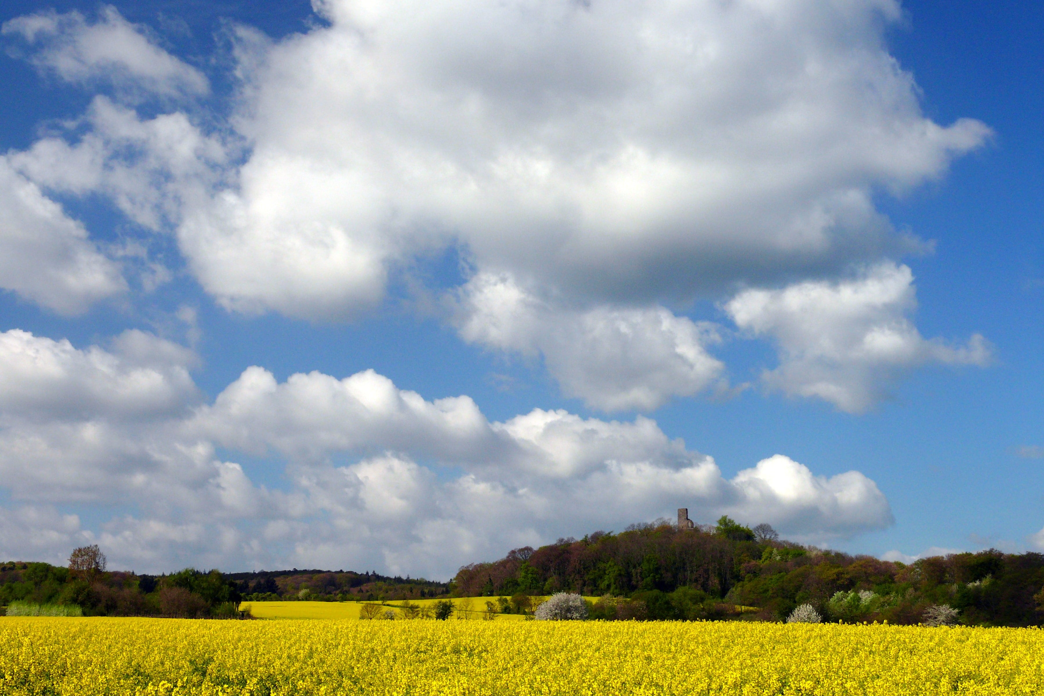 Quelle: Stadt Rheinbach