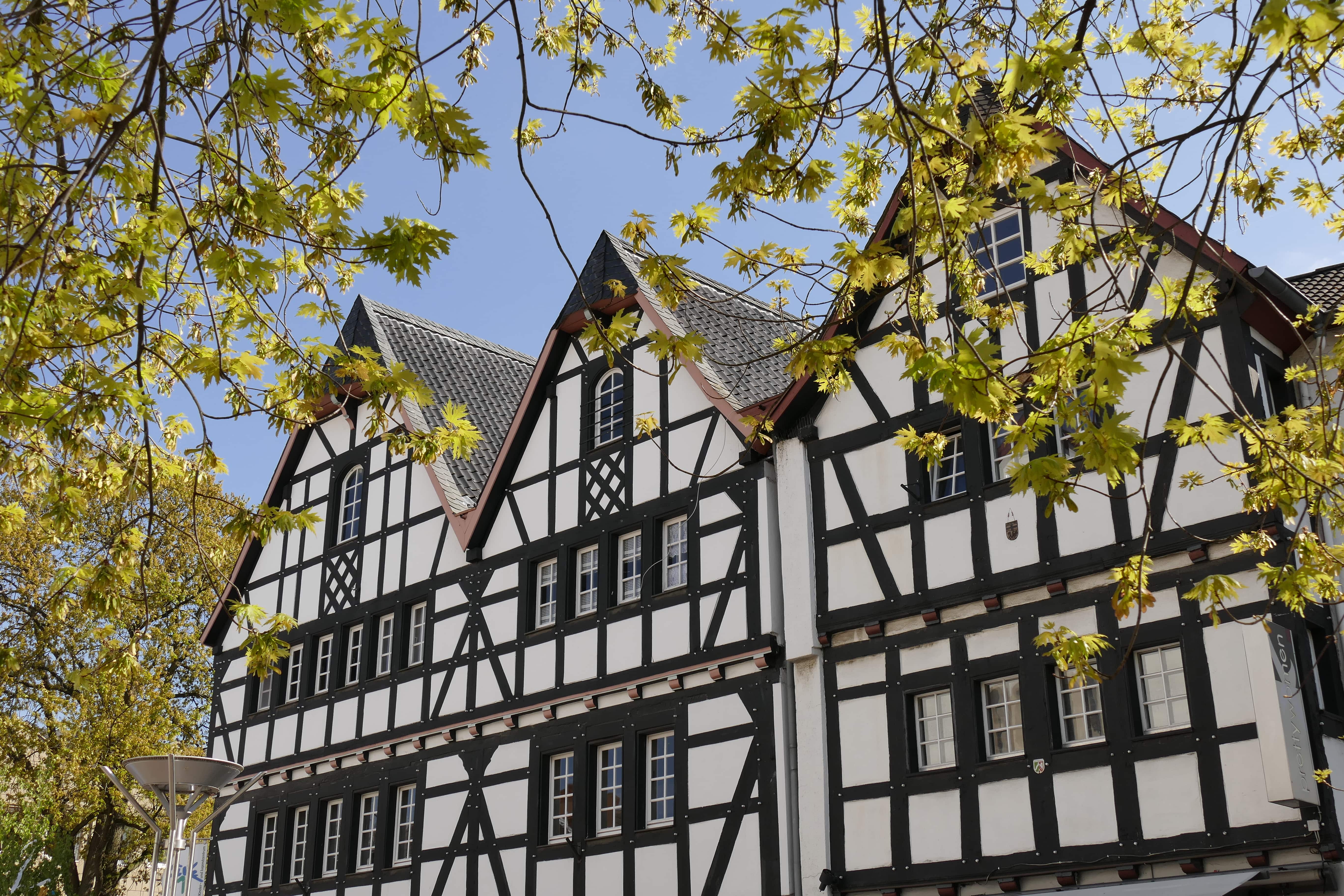 Quelle: Stadt Rheinbach