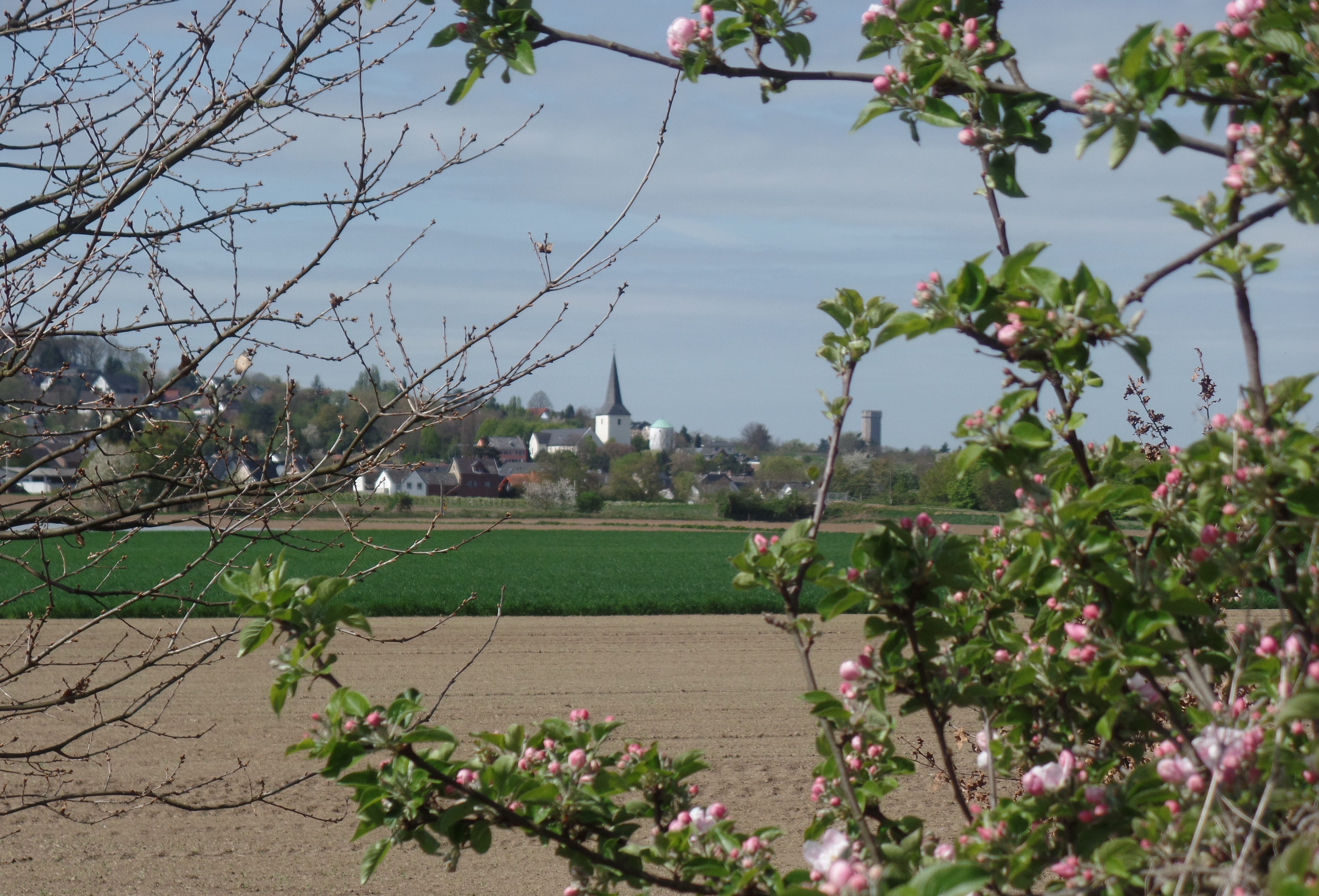 Quelle: Stadt Bornheim