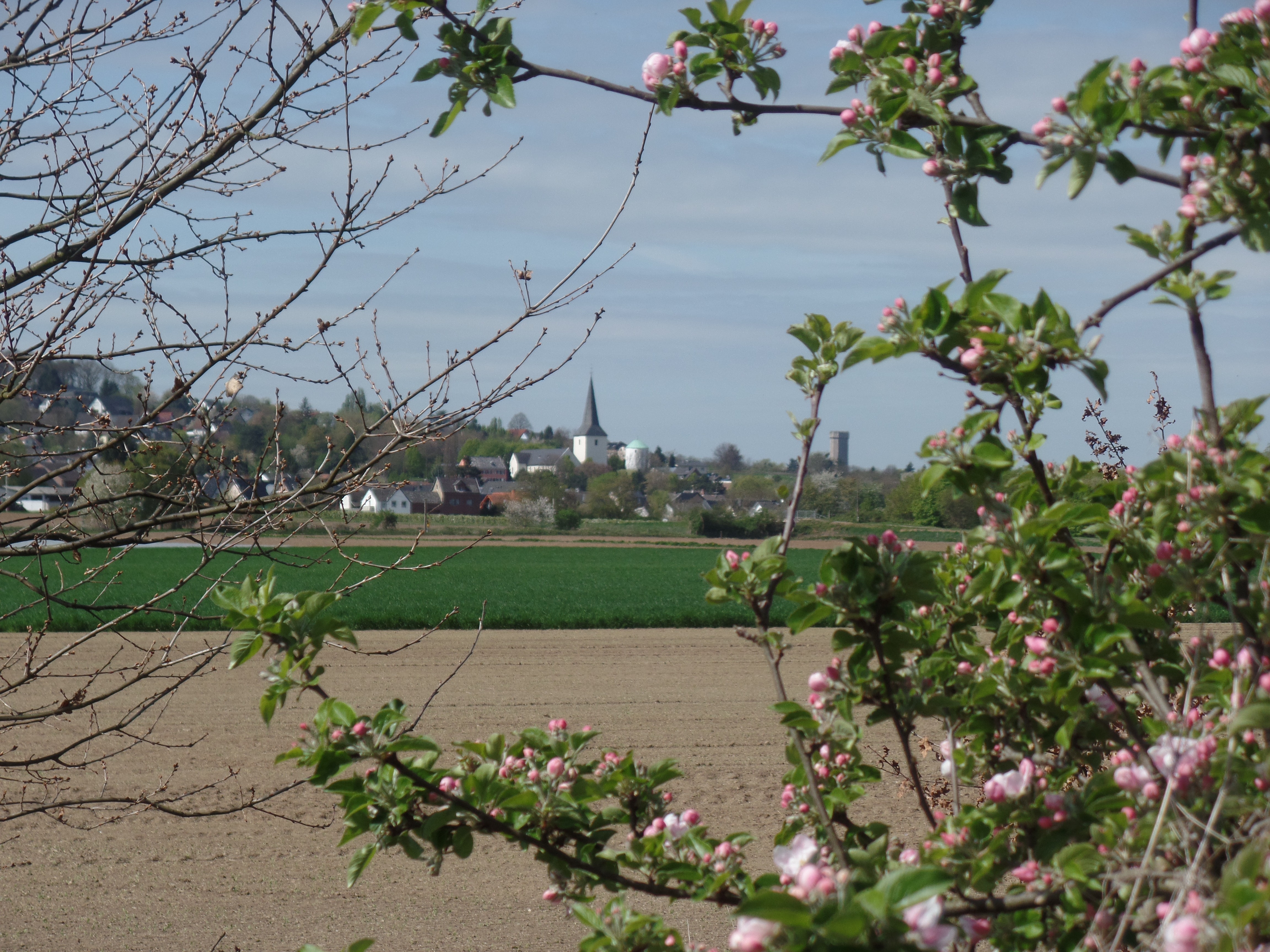Quelle: Stadt Bornheim